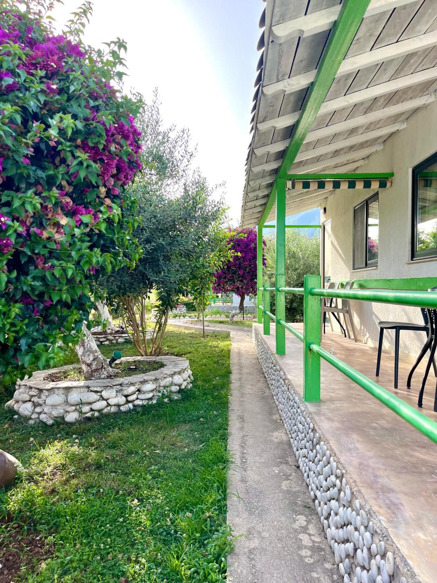 Chalet Ambel Dhërmi エクステリア 写真